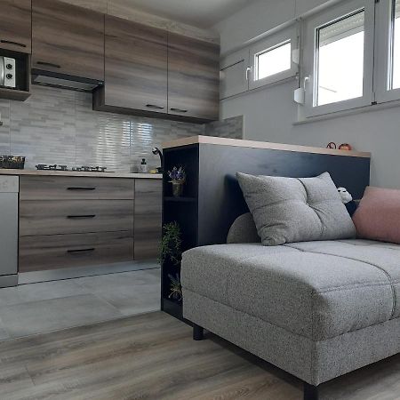 Apartman Ines 大戈里察 外观 照片