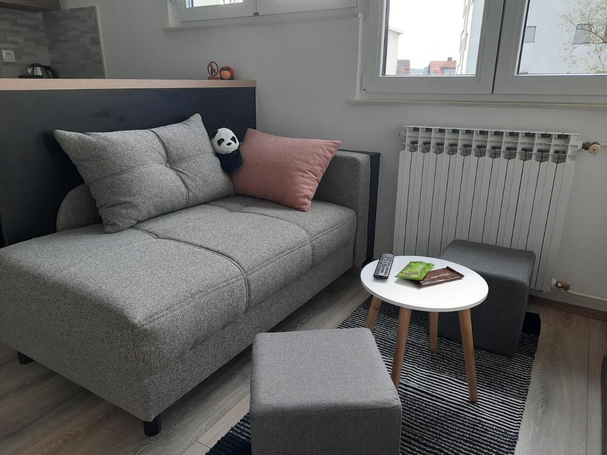 Apartman Ines 大戈里察 外观 照片