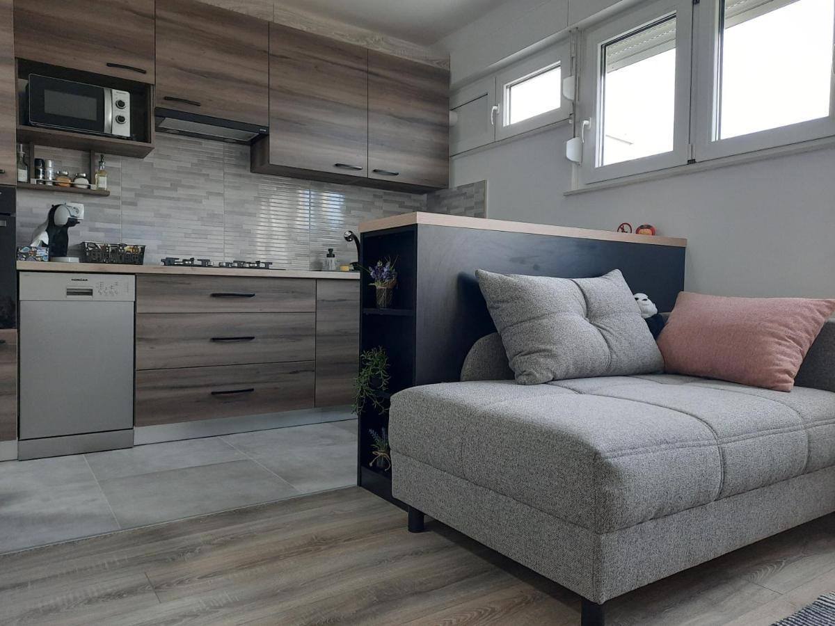 Apartman Ines 大戈里察 外观 照片