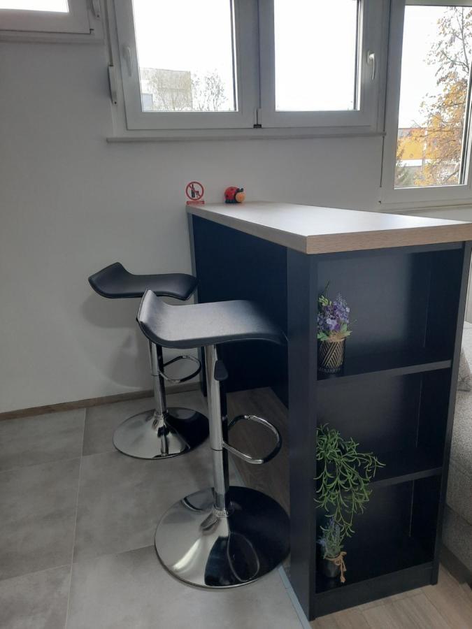 Apartman Ines 大戈里察 外观 照片