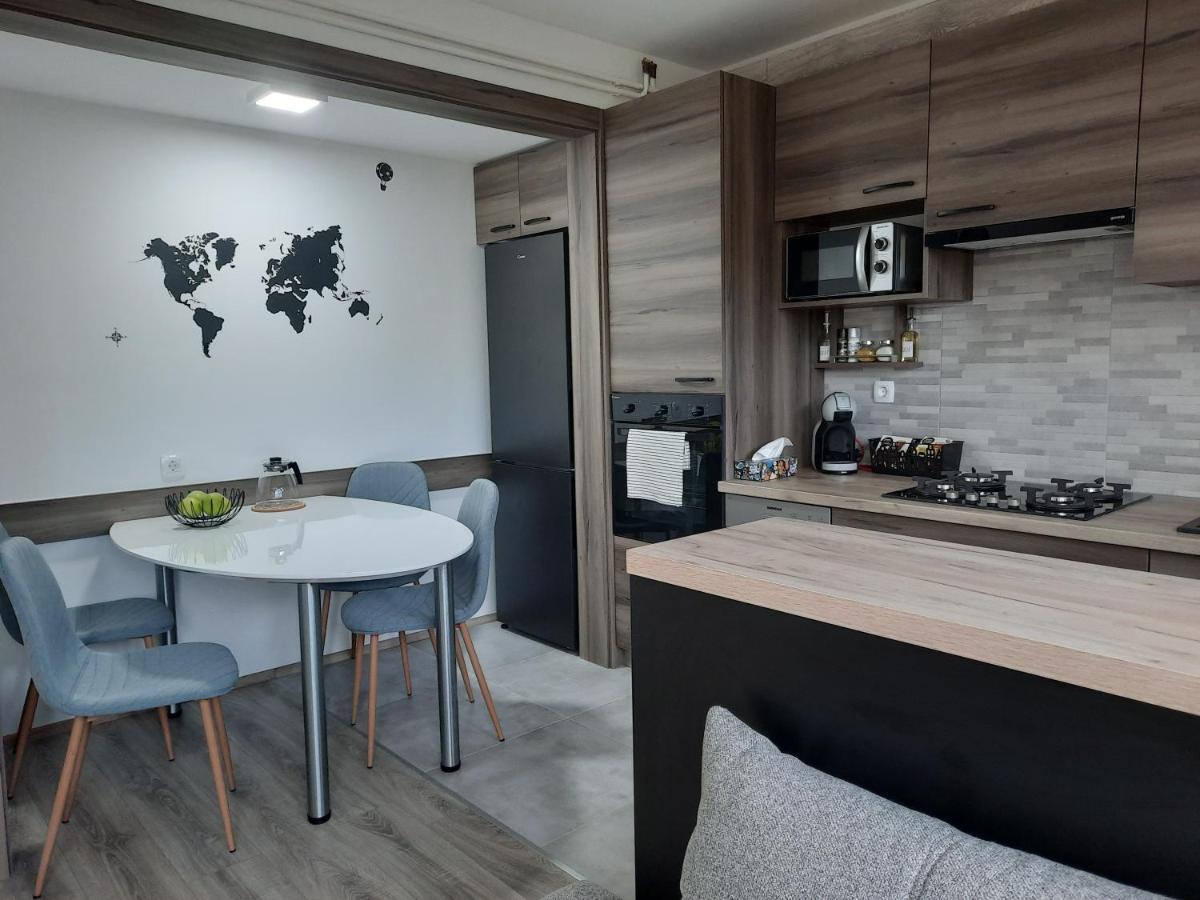 Apartman Ines 大戈里察 外观 照片