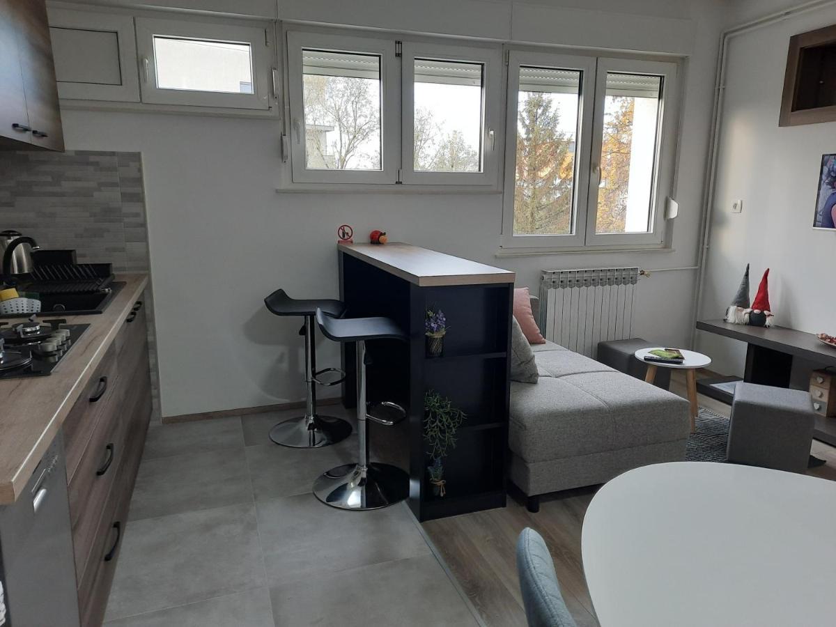 Apartman Ines 大戈里察 外观 照片