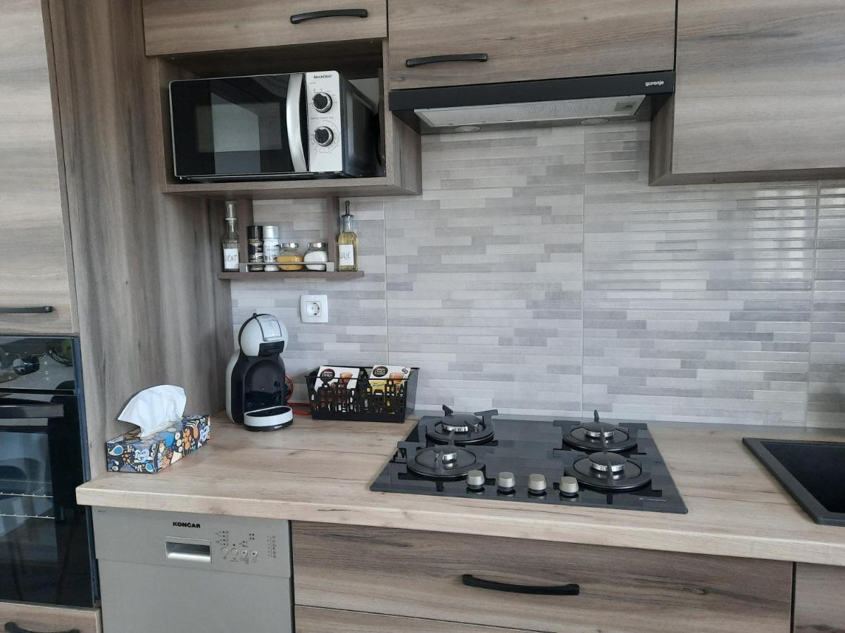 Apartman Ines 大戈里察 外观 照片
