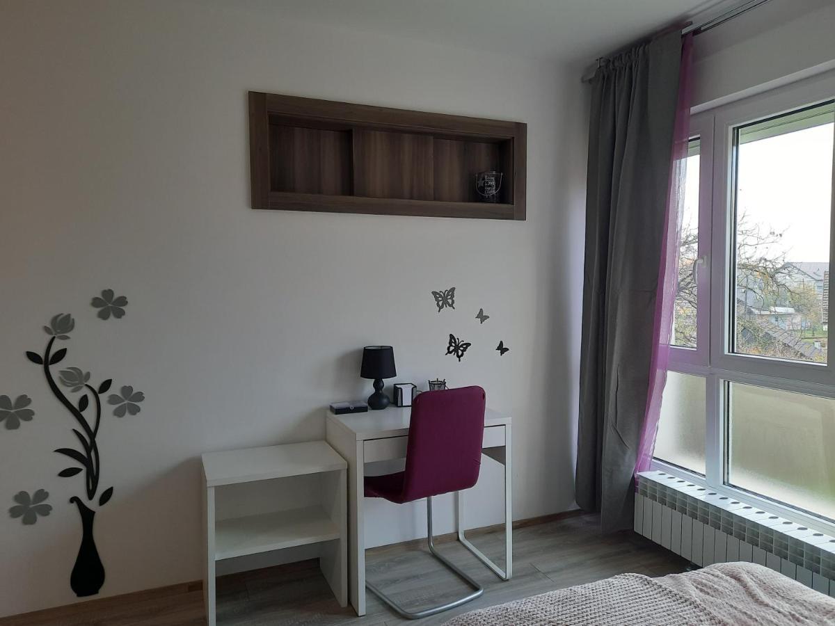 Apartman Ines 大戈里察 外观 照片
