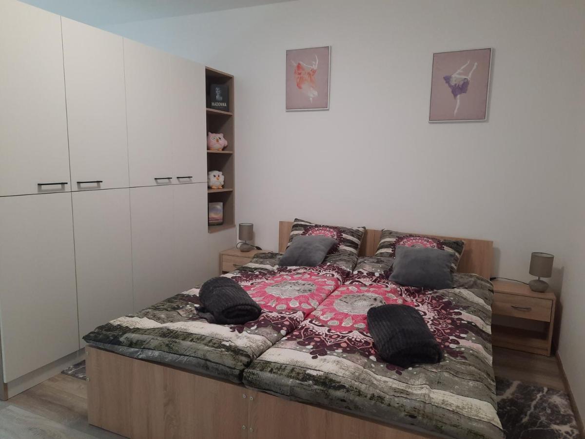 Apartman Ines 大戈里察 外观 照片