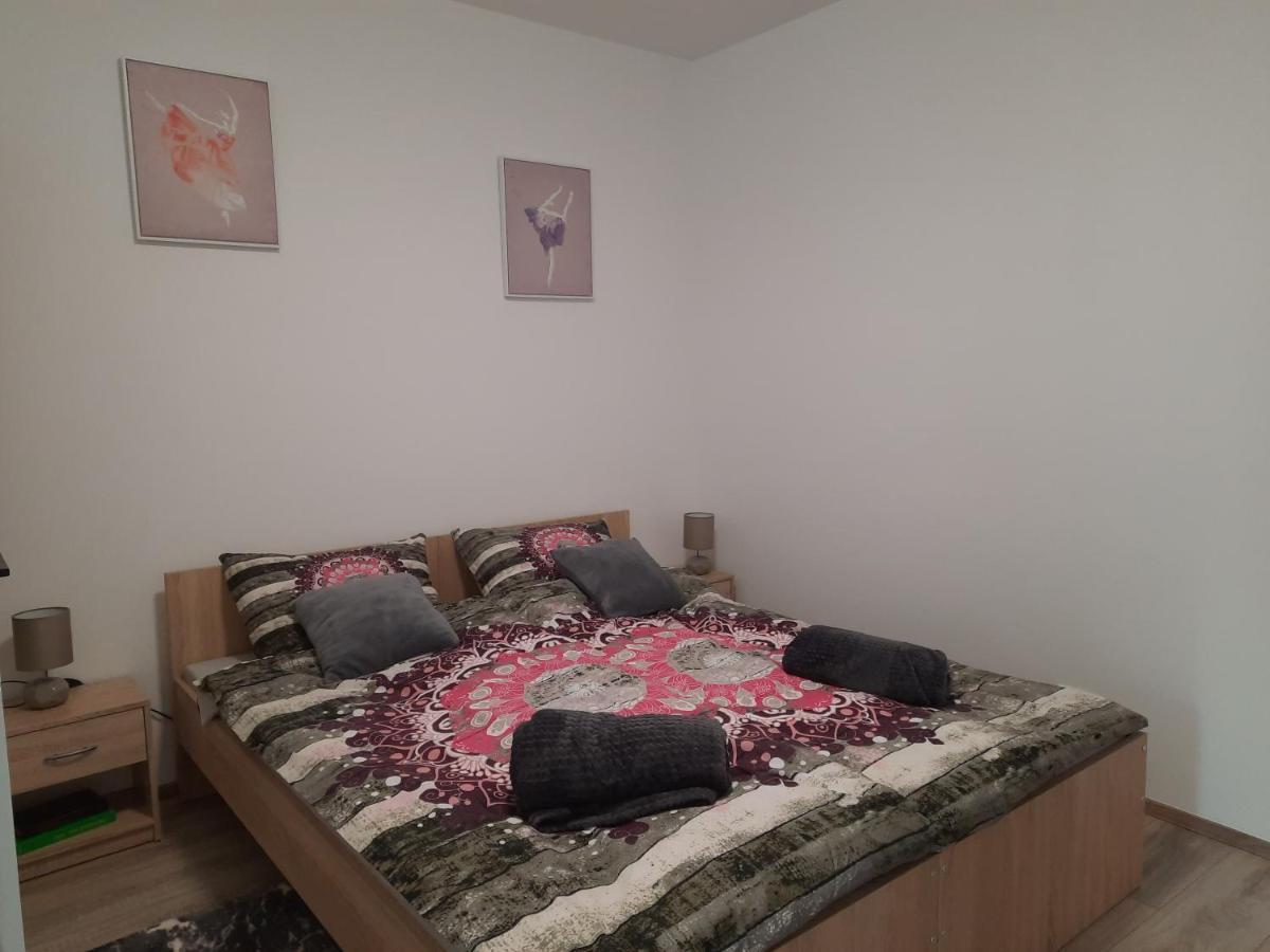 Apartman Ines 大戈里察 外观 照片