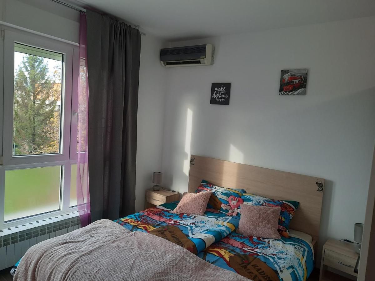 Apartman Ines 大戈里察 外观 照片