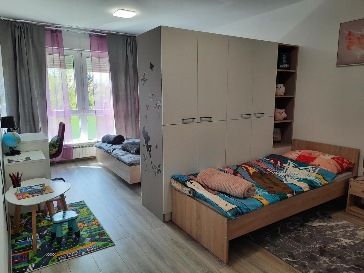 Apartman Ines 大戈里察 外观 照片